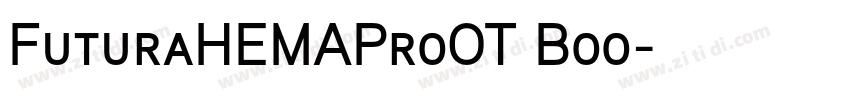 FuturaHEMAProOT Boo字体转换